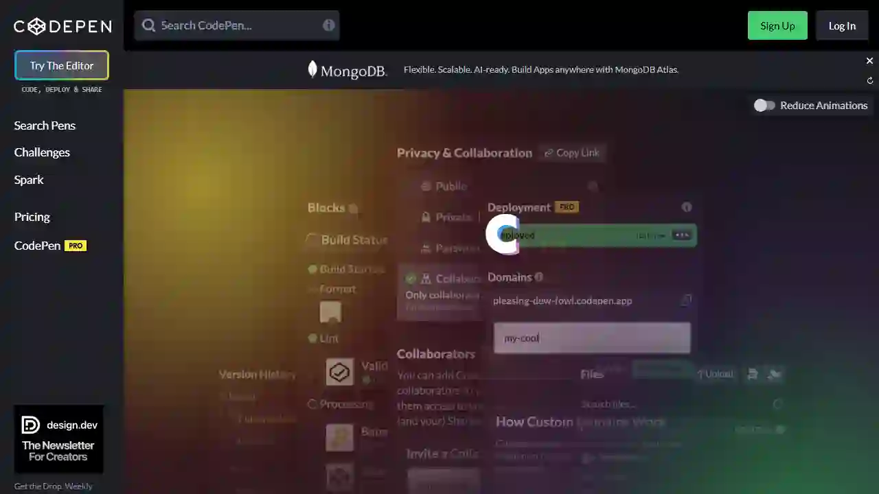 CodePen